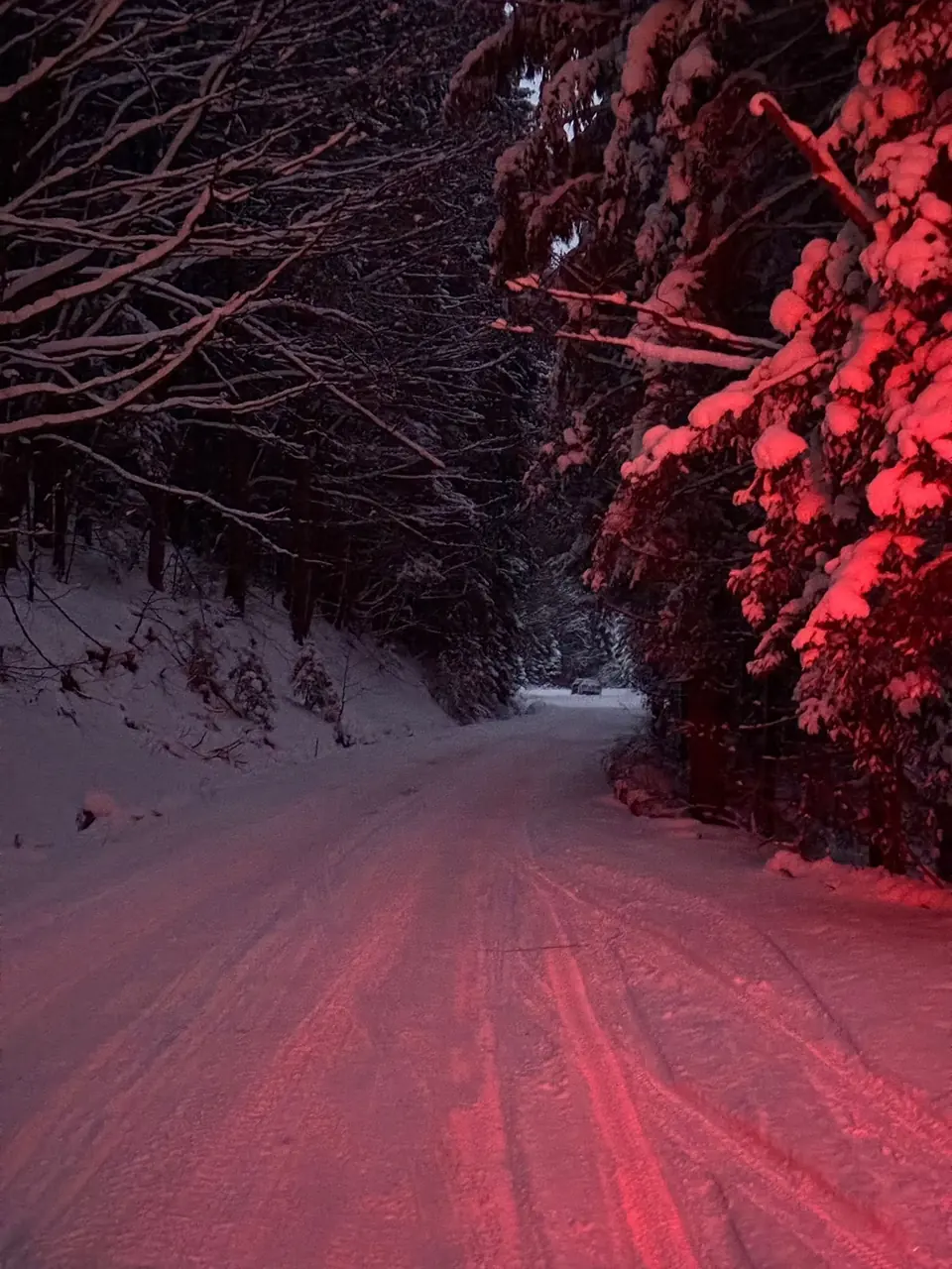 Drum de munte acoperit de zăpadă, noaptea, luminat în roșu de girofar